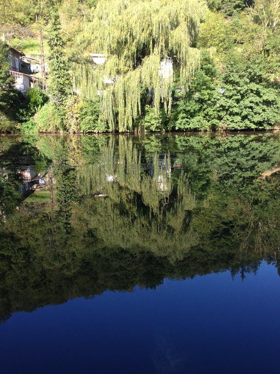 Mon Plaisir - Chambres D'Hotes Villefranche-de-Rouergue Kültér fotó